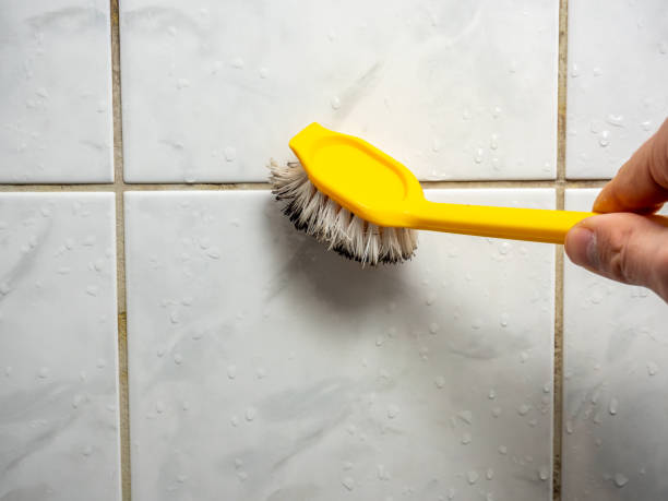 Best Mold Remediation for Specific Building Types in Chrisman, IL