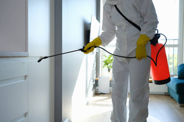 Best HVAC Mold Remediation in Chrisman, IL