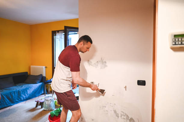 Professional Mold Remediation in Chrisman, IL